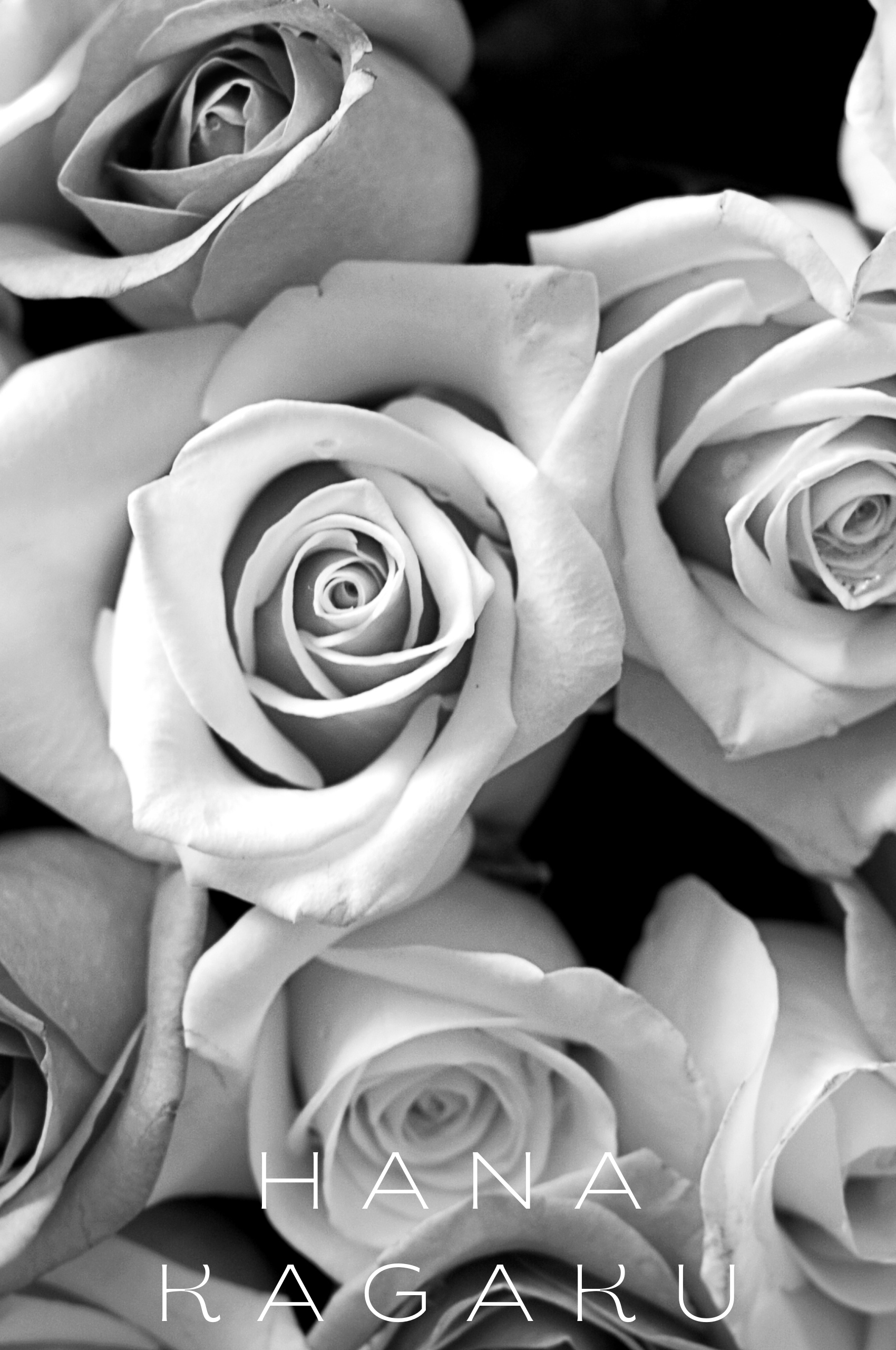 プリザーブドフラワー加工液 - 花科学合同会社